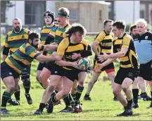  ?? Photograph: Iain Ferguson, alba.photos. ?? Alistair Davidson prepares to pass to Ben Fulford.