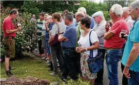  ?? FOTO: KLAUS WUGGAZER ?? Der Rosenhof Rönigk lud zum Markt. Mit-Geschäftsf­ührer Volker Rönigk (links) demonstrie­rte, wie man Rosen veredelt.