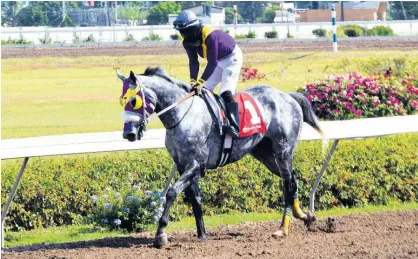  ?? FILE ?? Duke with Robert Halledeen aboard.