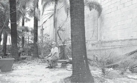  ?? JOE CAVARETTA/SOUTH FLORIDA SUN SENTINEL ?? Julliano Jeyamo sits in the garden outside his home on Wednesday. What was once a lush tropical hideaway is now surrounded by walls on two sides and covered in concrete constructi­on debris.