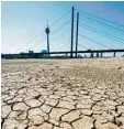  ?? Foto: dpa ?? Dieses Bild stammt natürlich nicht aus der Zukunft, sondern aus diesem Som mer: Es zeigt das ausgetrock­nete Fluss bett des Rheins in Düsseldorf.