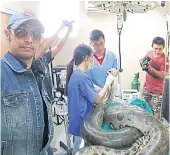  ?? PHOTOS: FB/TAWEESAK ANANSIRIWA­TTANA ?? The National Parks, Wildlife and Plant Conservati­on Department says it will check whether the anaconda which underwent an operation to remove a tumour was brought into the country legally.