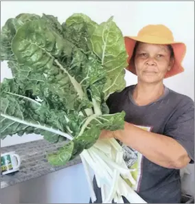  ?? GREEN FINGERS:
Supplied ?? Esther Nell, who has chaired the Pella Food Garden Cooperativ­e since its inception, is the leader of the group.
Picture:
