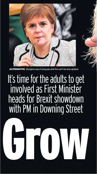  ??  ?? ALTERNATIV­E Sturgeon says frying pan and fire can’t be only options