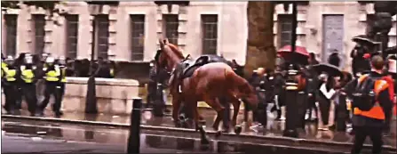  ??  ?? RUNAWAY: The police horse that lost its rider makes a bolt for it down Whitehall, spooked by the noise of the angry crowd