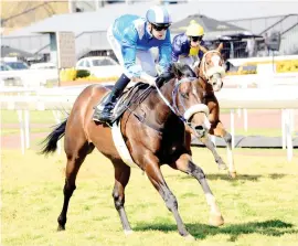  ??  ?? BANKER. Alwahsh, pictured winning his debut at the expense of The Puma, should follow up when he runs in Race 3 at the Vaal tomorrow.
