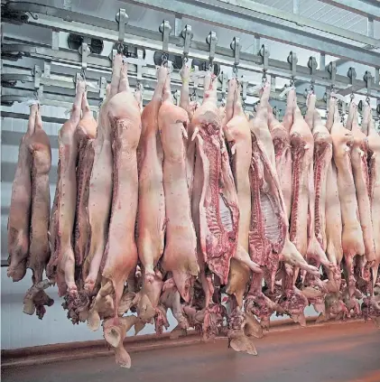  ??  ?? Boom. El consumo de carne de cerdo es uno de los que más crece, aunque aun prevalecen otros animales.