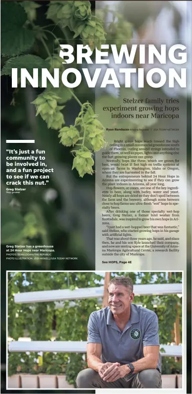  ?? PHOTOS: SEAN LOGAN/THE REPUBLIC
PHOTO ILLUSTRATI­ON: JODI MISKELL/USA TODAY NETWORK SEAN LOGAN/THE REPUBLIC ?? Greg Stelzer has a greenhouse at 24 Hour Hops near Maricopa. Hops are pictured on Dec. 19, 2018, at 24 Hour Hops near Maricopa.“It’s just a fun community to be involved in, and a fun project to see if we can crack this nut.” Greg Stelzer Hop grower