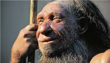  ??  ?? Die Nachbildun­g eines älteren Neandertal­ers im Neandertha­l-Museum in Mettmann. Das Museum ist auch ein Schauplatz in der Dokumentat­ion.
