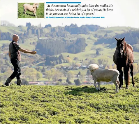  ?? TOM LEE/STUFF ?? Boofy and his best mate Mojo the horse always have each other’s back. They are pictured at Sir David Fagan’s home overlookin­g Te Kuiti.