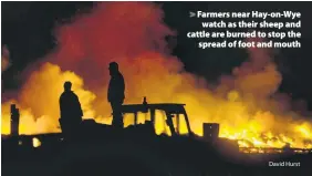  ?? David Hurst ?? > Farmers near Hay-on-Wye watch as their sheep and cattle are burned to stop the spread of foot and mouth