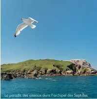  ??  ?? Le paradis des oiseaux dans l’archipel des Sept-Îles