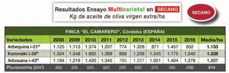  ??  ?? Resultados productivo­s obtenidos en el ensayo multivarie­tal realizado por Todolivo en “El Camarero”, finca de investigac­ión de Olivar en Seto de secano que Todolivo tiene en la campiña cordobesa.