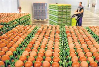 ?? Picture: AP. ?? The egg contaminat­ion scandal has shown up that the UK may have to contribute to European food safety costs after Brexit.