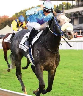  ?? Picture: JC Photograph­ics ?? ALL SMILES. Callan Murray shows his delight as Heavenly Blue cruises to victory in the R2-million SA Classic at Turffontei­n on Saturday to give the young jockey his first Grade 1 victory.