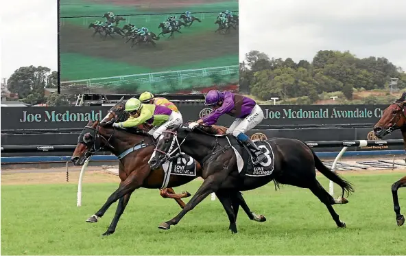  ?? TRISH DUNELL ?? Polzeath, centre, fights hard to defeat Platinum Invador in yesterday’s Group II Avondale Cup (2400m).