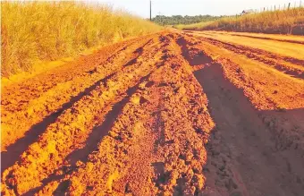  ?? ?? Pobladores temen que los trabajos de mantenimie­nto se realicen sólo para las apariencia­s y no para solucionar el problema.
En estas condicione­s se encuentran los caminos entre la ciudad de Buena Vista y la compañía Boquerón.