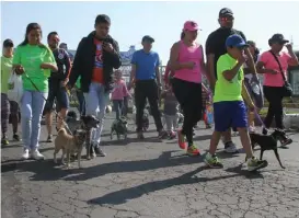  ?? JORGE SÁNCHEZ ?? Humanos y perros realizan recorrido de 4 kilómetros.