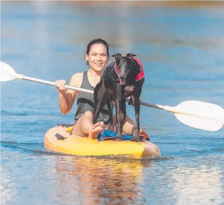  ?? Picture: GLENN CAMPBELL ?? Anne Hardwick with her kayaking companion, Liquorice the rescue greyhound