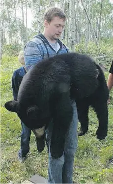  ?? PROVIDED PHOTOS ?? Mark Dallyn has cared for nine orphaned black bears over the last several years and is building a new larger enclosure for them near his home.