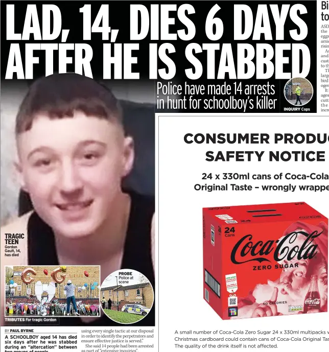  ?? ?? TRAGIC TEEN Gordon Gault, 14, has died