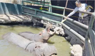  ?? RICARDO SERRANO ?? Dependen de las entradas para alimentar a los animales que habitan