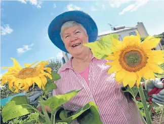  ?? Photo: John Selkirk / Fairfax NZ ?? Landslide victory: Sister Rosemary Revell ‘‘sat down with a thump’’ in surprise at her win.