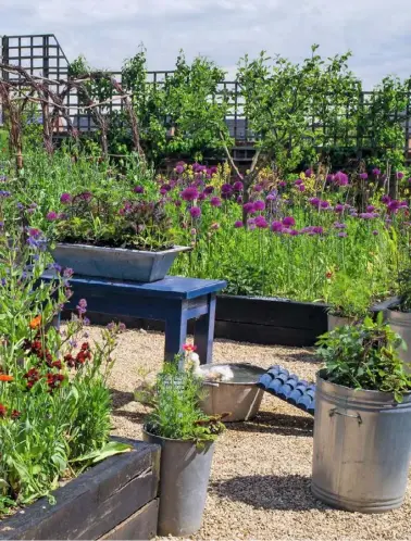  ??  ?? packed with plants (clockwise from above left) Galvanised dustbin planters are layered with allium and tulip bulbs; alliums follow on from wallflower­s and tulips before sweet peas take up the baton; ducklings pose with a tulip mug; juvenile ducklings...