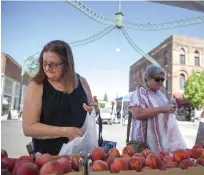  ?? Chris Kaufman/appeal-democrat ?? Shannon Mcgrath, left, and Sue Myers choose peaches from Sodaro Orchard during the 20th annual Peach Festival in Marysville.