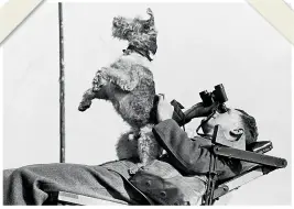  ??  ?? ABOVE Scamp, a rough-haired terrier, attached himself to a Midlands anti-aircraft unit and made himself useful by helping the spotters with a bark when he spotted a plane