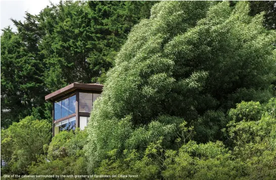  ??  ?? One of the cabanas surrounded by the lush greenery of Farallones del Citara forest