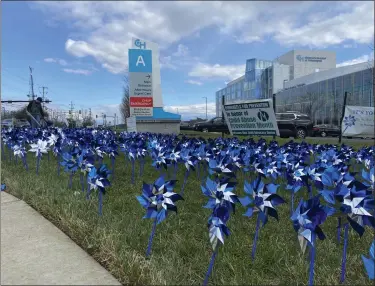  ?? SUBMITTED PHOTO ?? The pinwheels spinning joyfully and free are the perfect image of what a child’s life should be.