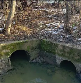  ?? SUBMITTED ?? Basins located along the backyards of homes on Lanark Lane are shown.