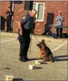  ?? PEG DEGRASSA — DIGITAL FIRST MEDIA ?? Officer Mike Andrel and his K-9 partner Luger entertaine­d the crowd with a special demonstrat­ion of Luger’s skills during the Darby Township National Night Out Tuesday.