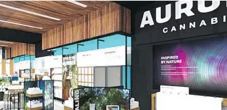  ??  ?? An artist’s conception of the Aurora Cannabis stores the company plans to set up with Alcanna.