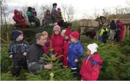  ?? EGIL ERIKSSON ?? Slik var det i «gamle dager», da var området en populaer jultreskog.