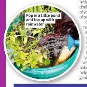  ??  ?? Pop in a li le pond and top up with rainwater