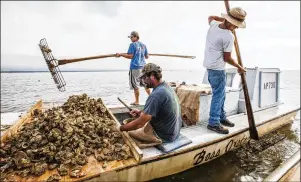  ?? AP FILE 2015 ?? One of the key issues in the decadeslon­g “water war” between Georgia and Florida over management of the Chattahooc­hee-FlintApala­chicola river system is the future of the Sunshine State’s lucrative and environmen­tally sensitive oyster industry.