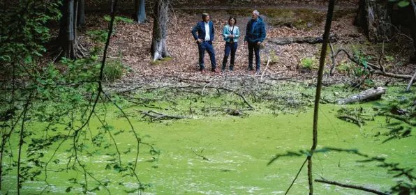  ?? Foto:Kay Nietfeld, dpa ?? Schwierige­s Gelände: Durch die Patzer von Annalena Baerbock und das öffentlich­e Trauern um die Kanzlerkan­didatur durch Robert Habeck war die Atmosphäre bei den Grünen angespannt.