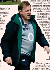  ?? ?? Under pressure: Ireland coach Eddie O’Sullivan in 2008