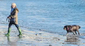  ?? Pictures: PAUL MIGUEL/SWNS & ALAMY ?? A dog walker enjoys milder temperatur­es at Lyme Regis, Dorset, yesterday