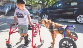  ?? Associated Press ?? This image released by CBS All Access shows Ace Ruelas-Jimenez, left, with dog Frances in a scene from the episode “A Discount Service Dog.”