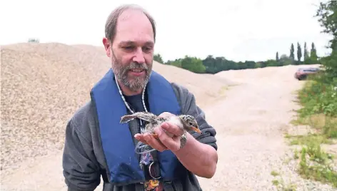  ?? FOTO: MARKUS JOOSTEN ?? Ornitholog­e Stephan Sudmann hält ein Flussseesc­hwalbenkük­en in seinen Händen.