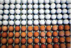  ?? Foto: Oliver Berg, dpa ?? Es gibt weiße und braune Eier. Die Farbe hängt von der Hühnerrass­e ab. Hier erfährst du mehr über Eier.