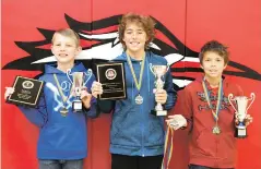  ?? COURTESY PHOTO ?? BATTLE OF THE BOOKS CHAMPS: Alex Wilding, Dustin Hand and Adrien Ercolino of the New Mexico School for the Deaf recently won the Battle of the Books national championsh­ip at Gallaudet University in Washington, D.C.