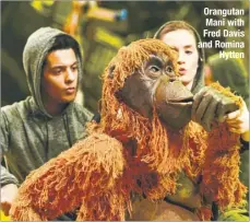  ??  ?? Orangutan Mani with Fred Davis and Romina Hytten