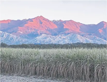  ?? GZA: Fund. FlorA y FAunA ?? El parque nacional Aconquija, en el oeste de Tucumán