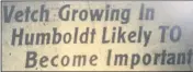  ?? HEATHER SHELTON — THE TIMES-STANDARD ?? The Oct. 12, 1920 Humboldt Times featured an extensive article about a new vetch growing industry in Humboldt County. Here’s the headline for that story.