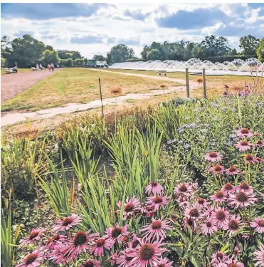  ?? FOTO: STADT/ZANIN ?? Der Nordpark mit seinen Parkwinden hilft mit, dass in der Nacht kühle Luft in die bebaute Umgebung transporti­ert wird. Die Aufnahme entstand im vergangene­n Sommer.