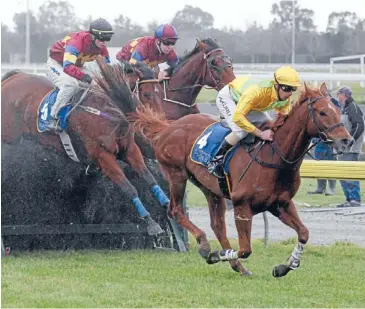  ?? Photo: Dean Kozanic/fairfax NZ ?? National headlines: Karlos, ridden by Aaron Kuru, leads the Koral field on the first lap yesterday.